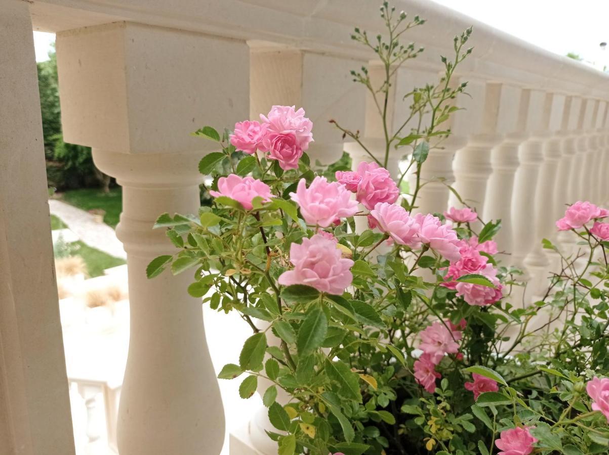 Bed & Breakfast Vigne Vecchie 2*
