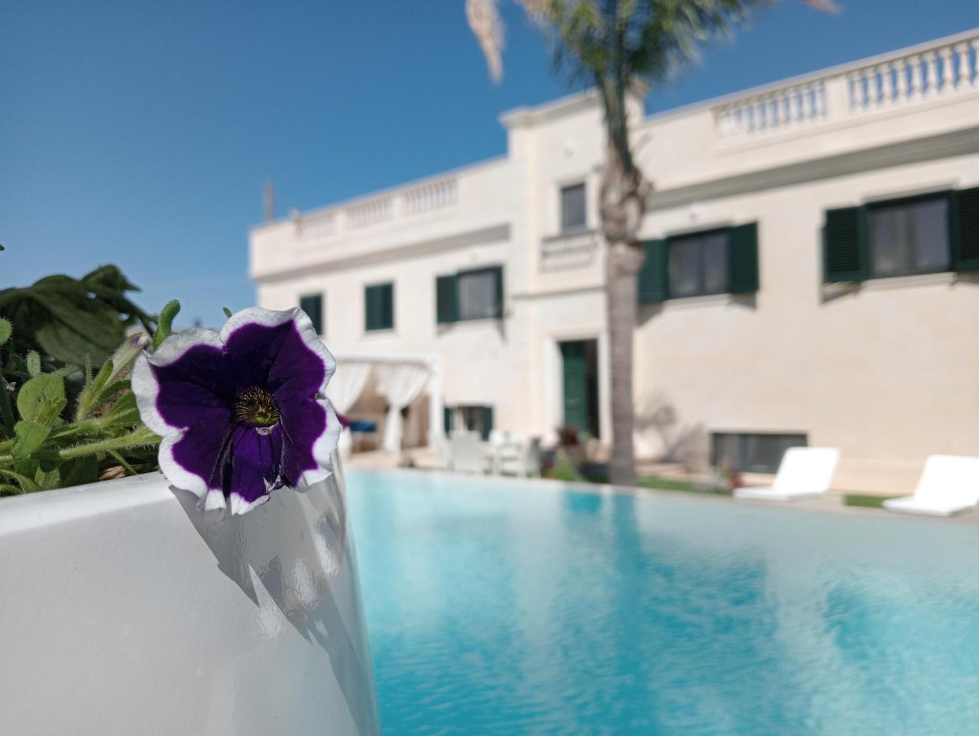 Vigne Vecchie Bed & Breakfast